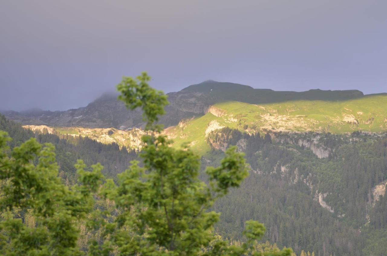 Domaine Du Grand Tetras Samoens 아파트 외부 사진